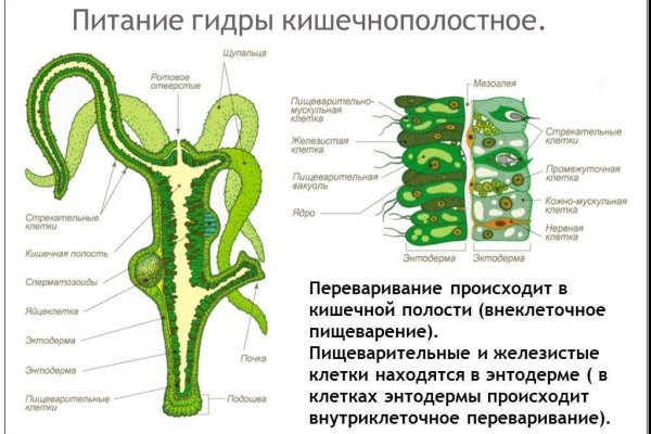 Кракен шоп зеркало