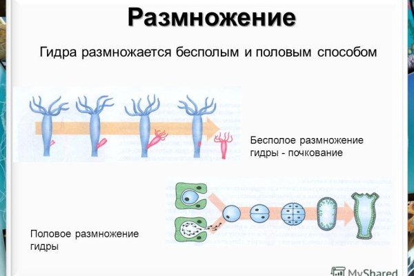 Как зайти на кракен с айфона