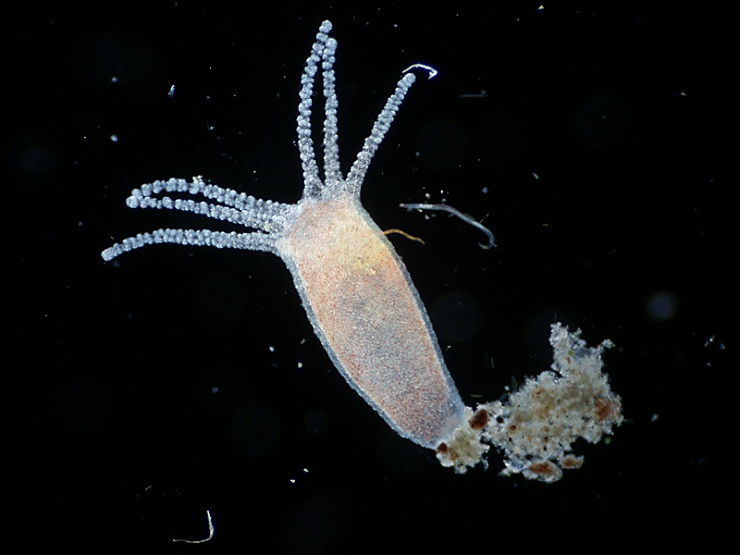 Кракен сайт krakens13 at
